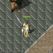 反射圣言.gif 反射圣言.gif