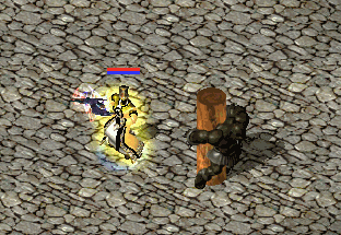 火鸟守卫.gif 火鸟守卫.gif